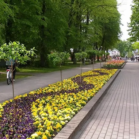 Апартаменты Chocolate *