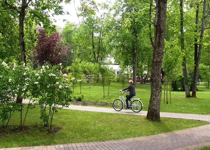 Chocolate Apartament Druskieniki